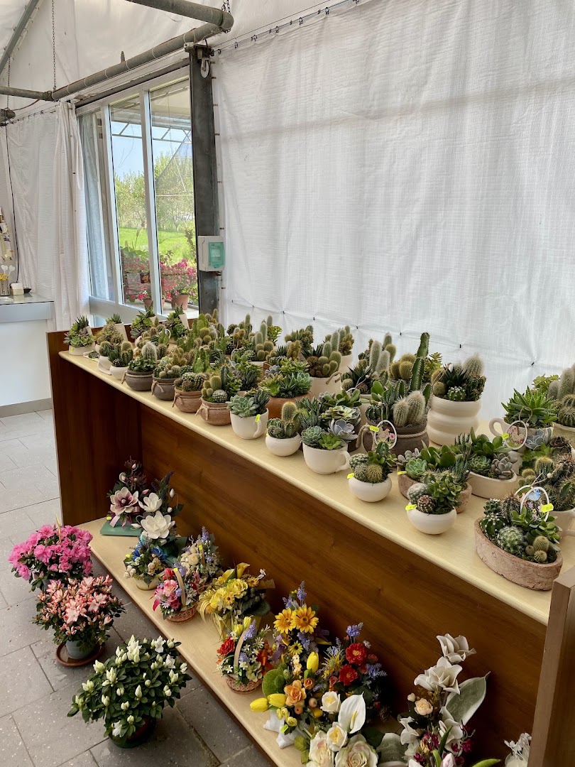 Floricoltura Terrin, Fossò