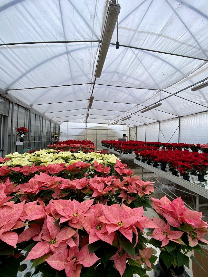 Floricoltura Terrin
