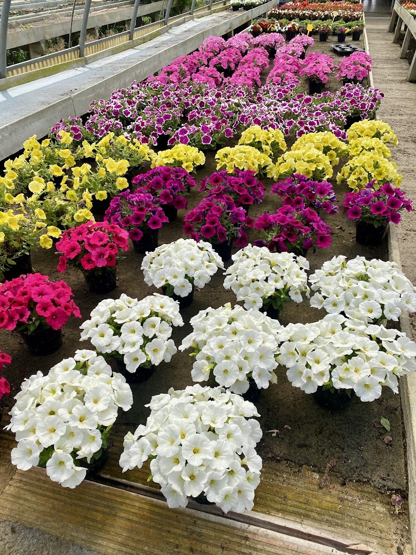 Floricoltura Terrin