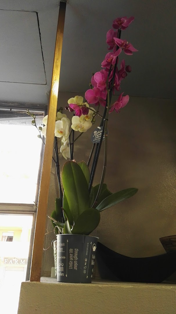 Flower Design Ciro Iorio