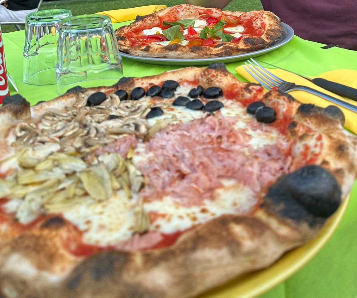 FociSpina