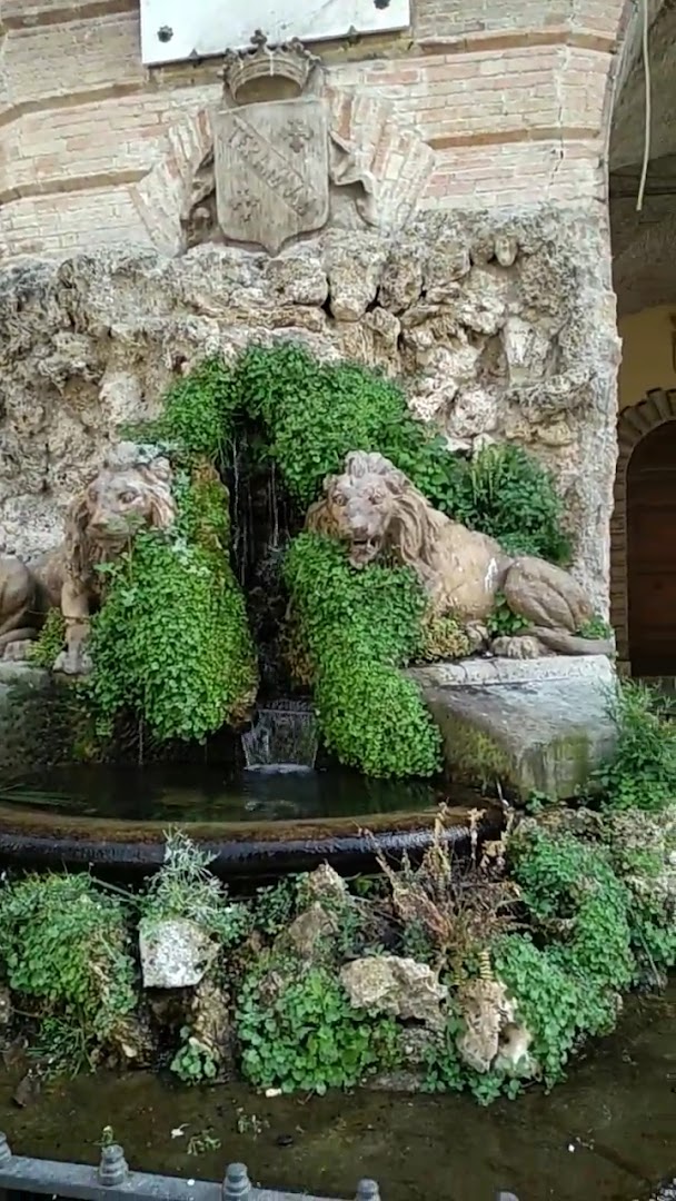 Fontana dei Due Leoni, Teramo