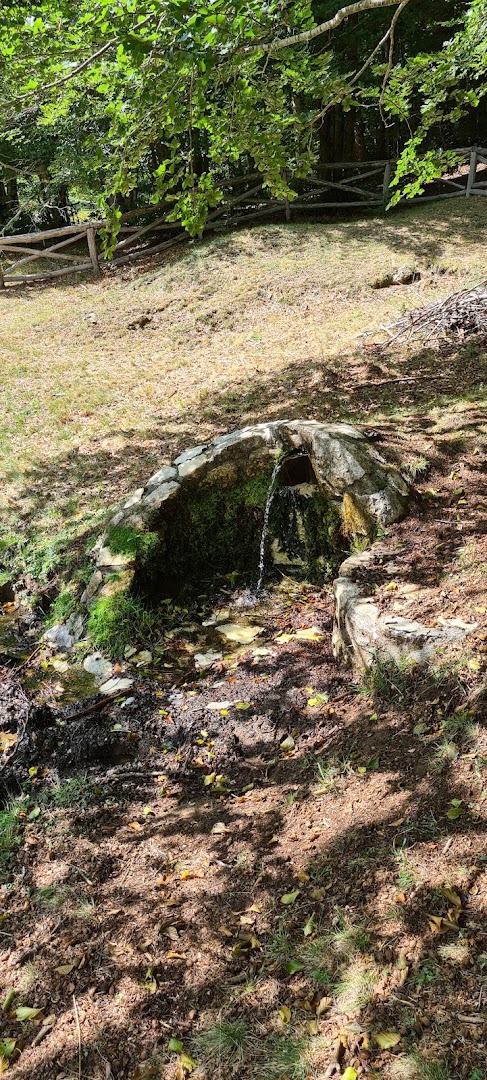 Fontanella del pastore