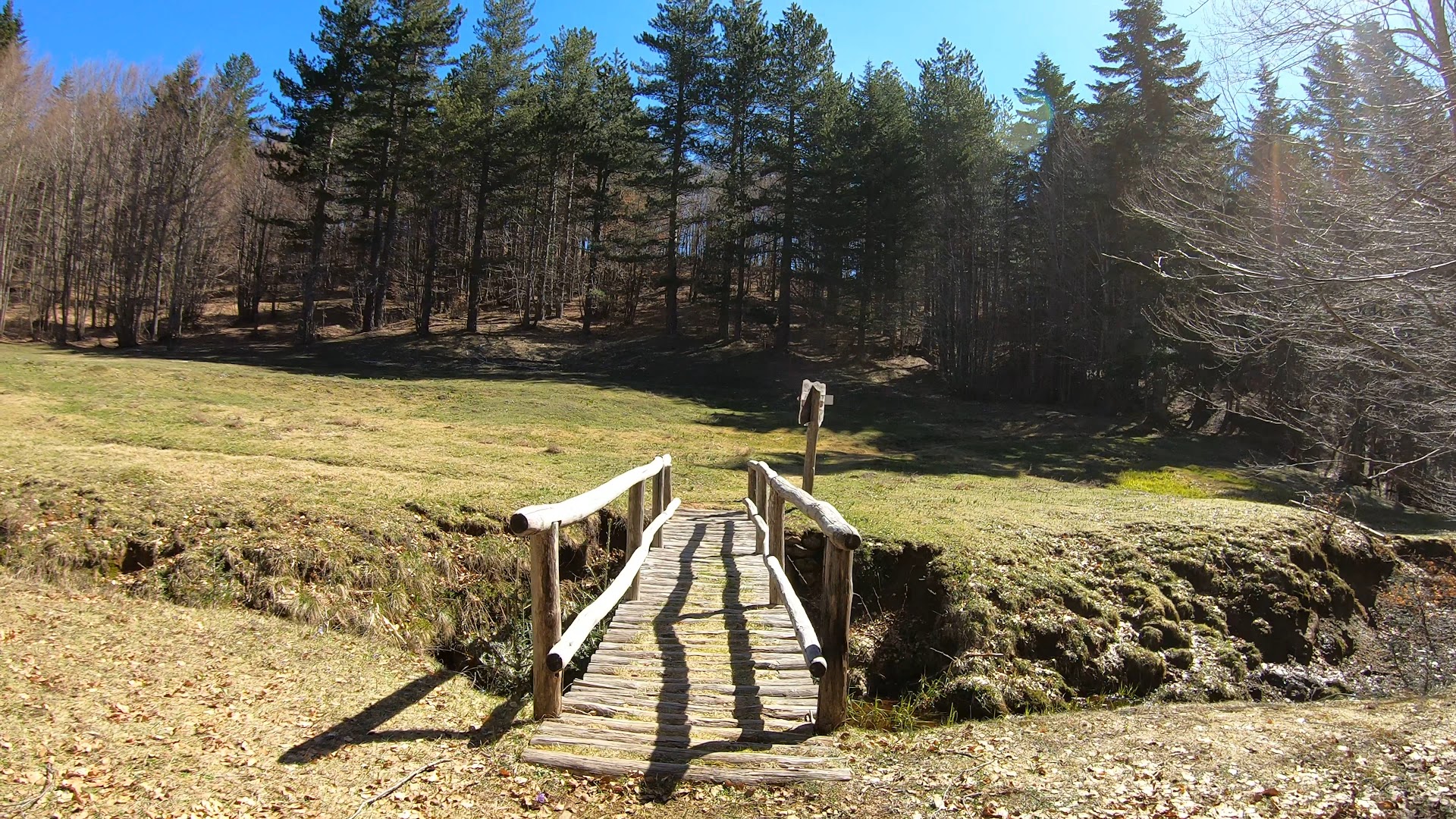 Fontanella del pastore