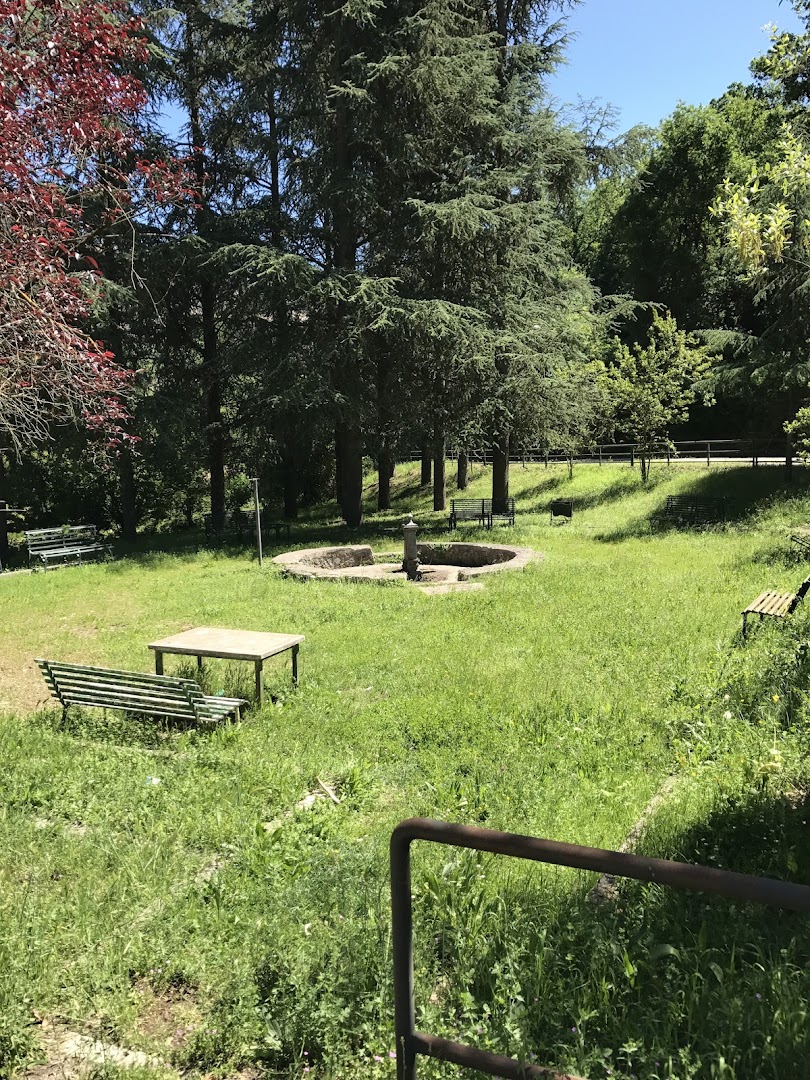 Fonte del Cosciano - Alatri