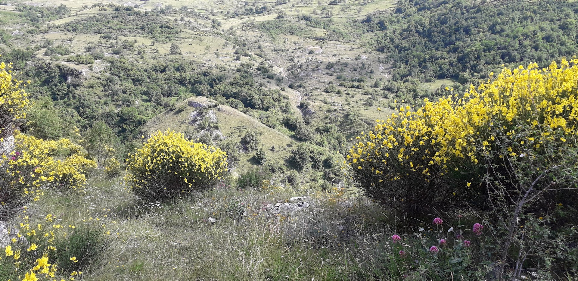 Fonte Pirella