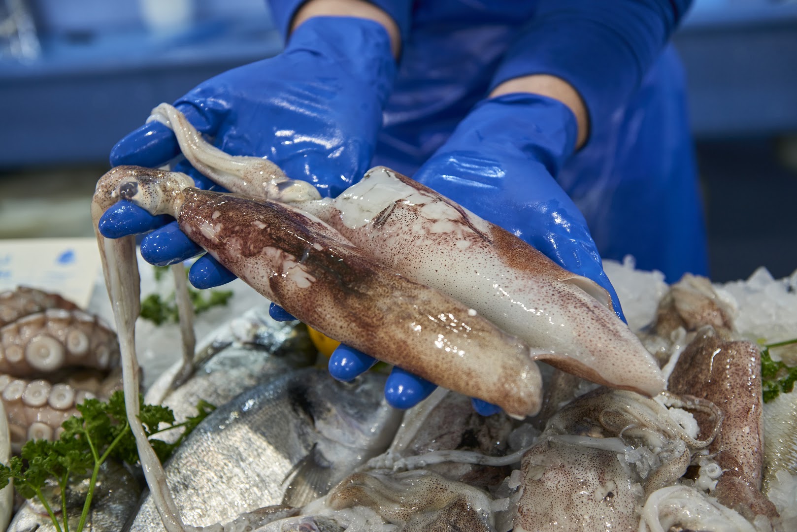 Forchetta di mare