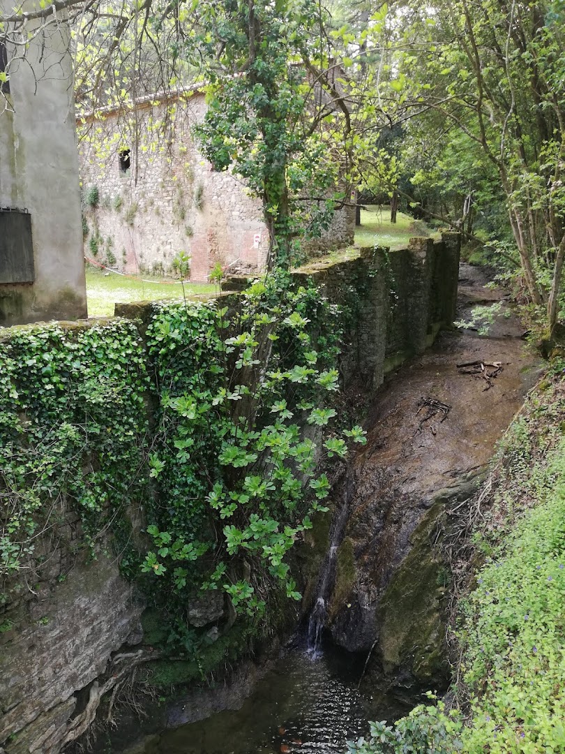 Foresta della Valle Benedetta