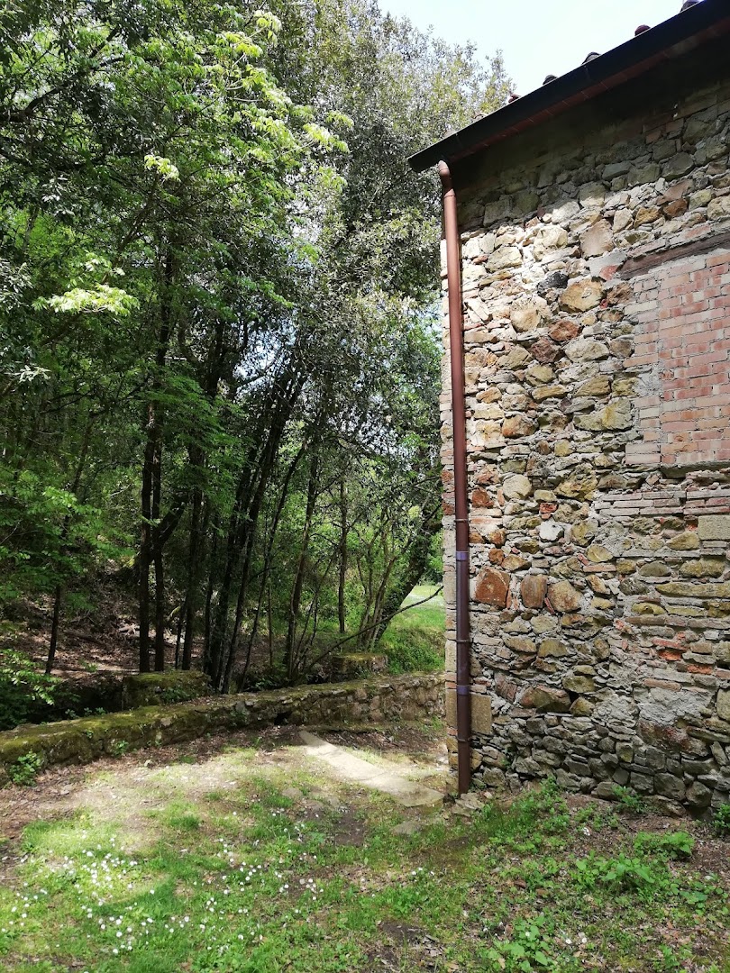 Foresta della Valle Benedetta