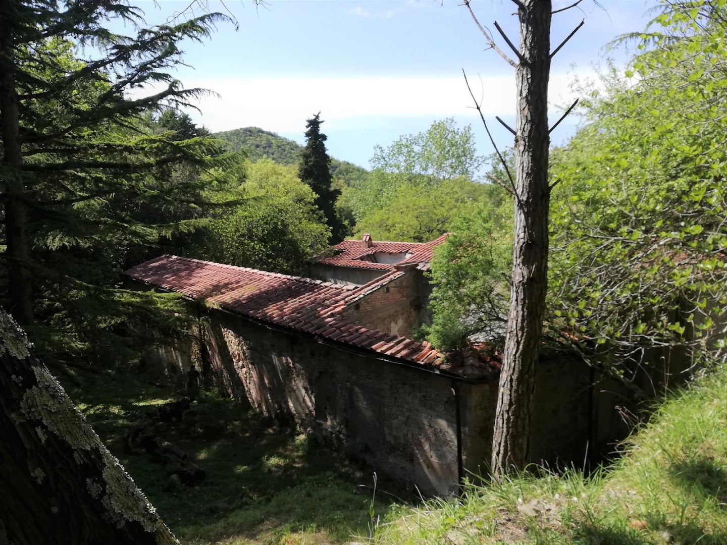 Foresta della Valle Benedetta