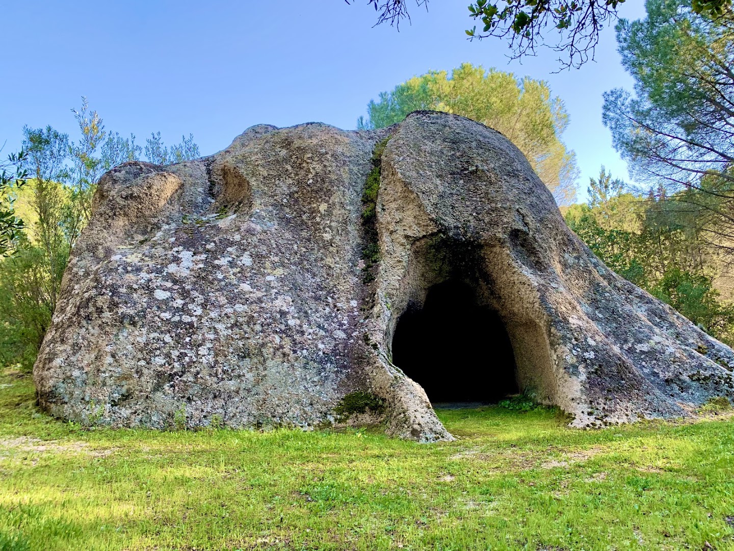 Foresta Demaniale di Su Filigosu, Oschiri