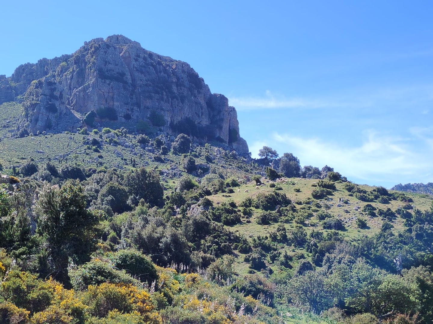 Foresta di Montes, Orgosolo