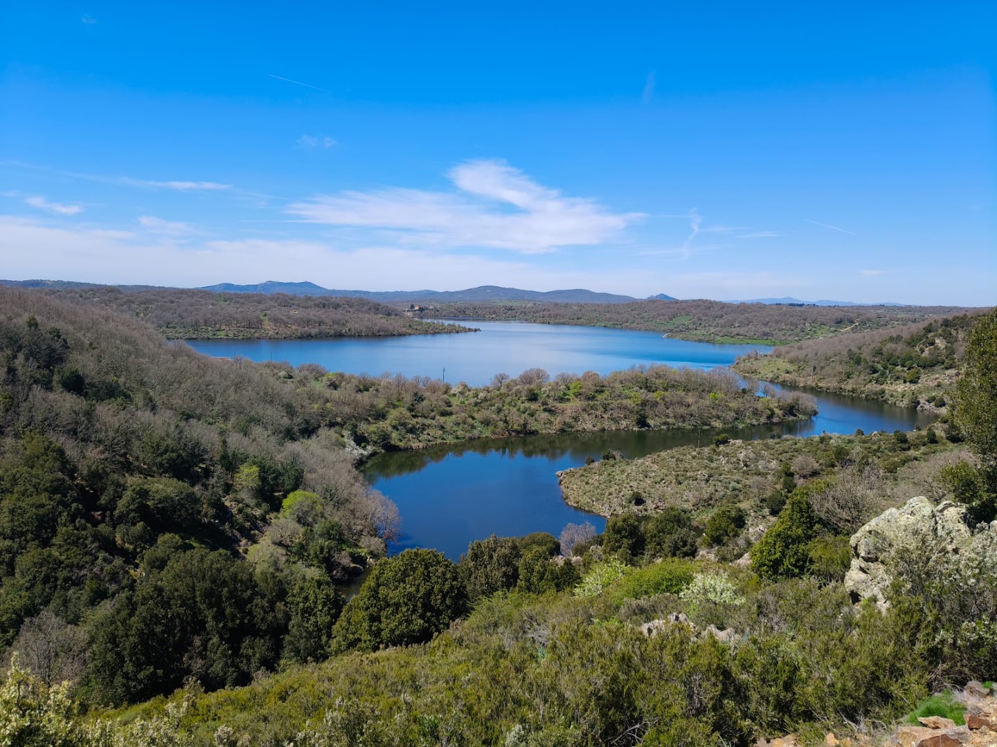 Foresta di Montes