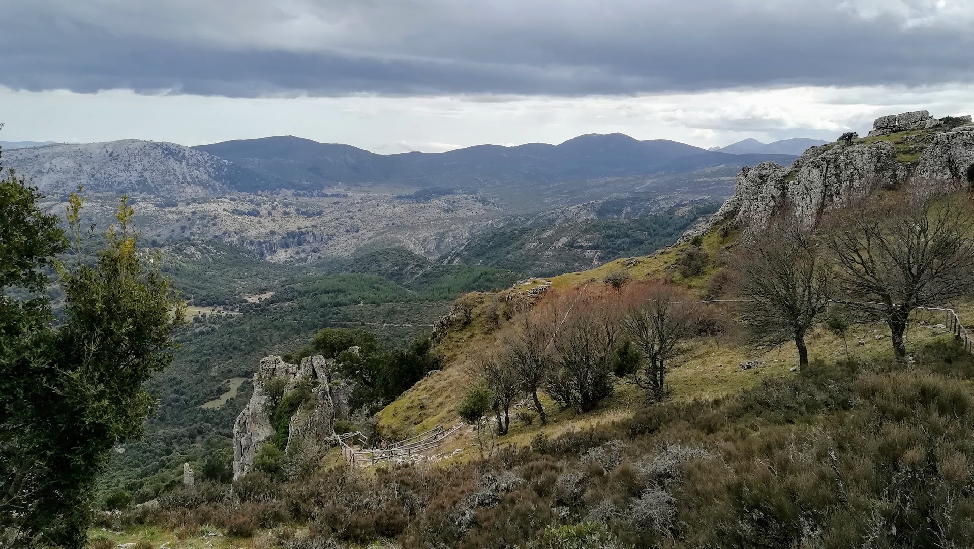 Foresta di Montes