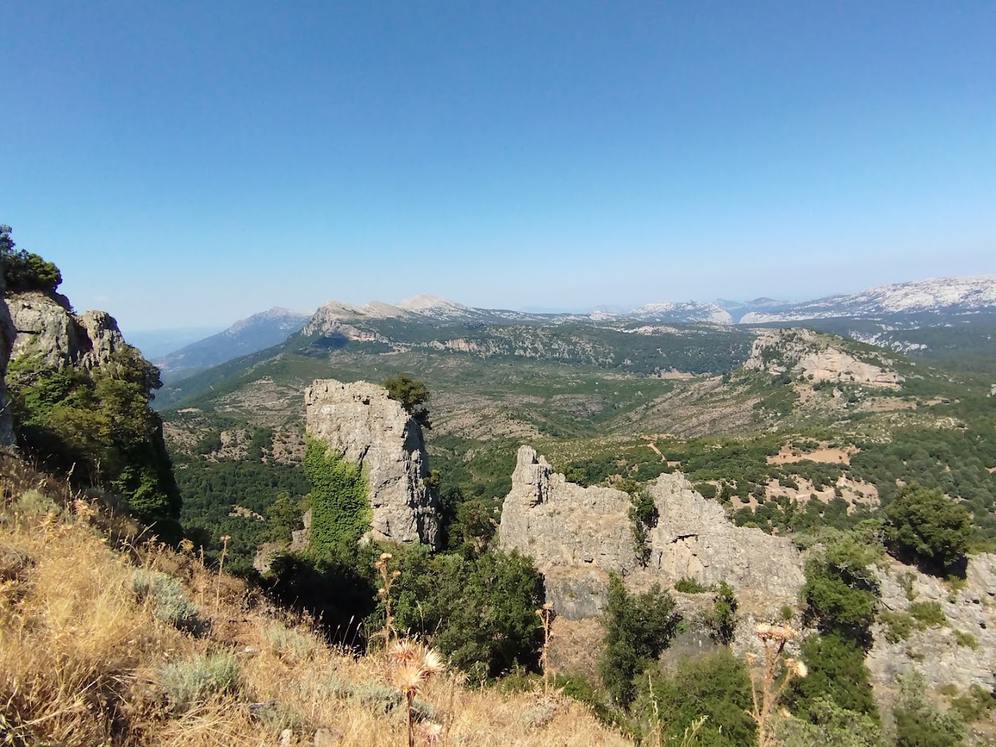 Foresta di Montes