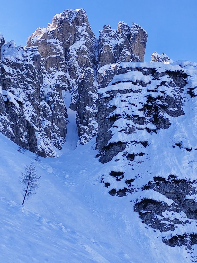 Forni di Sopra Dolomiti in tutti i sensi