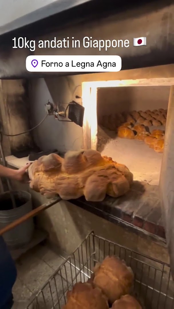 Forno a legna Agna di Sacco Angelo
