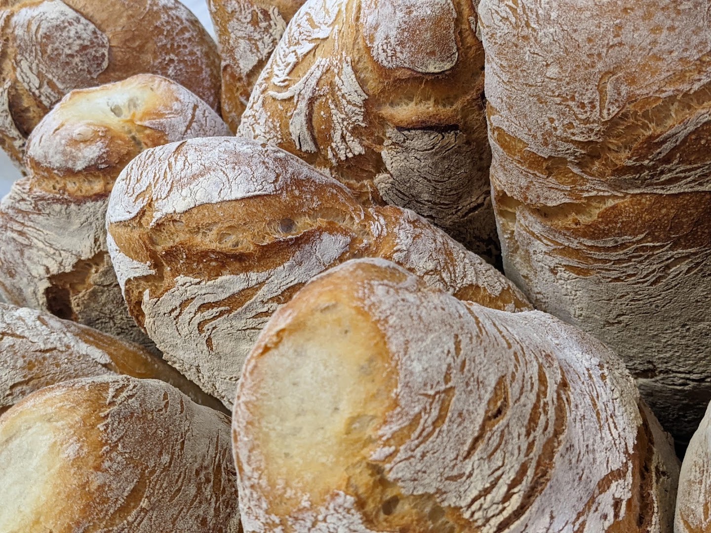 FORNO BAIOCCO S.R.L