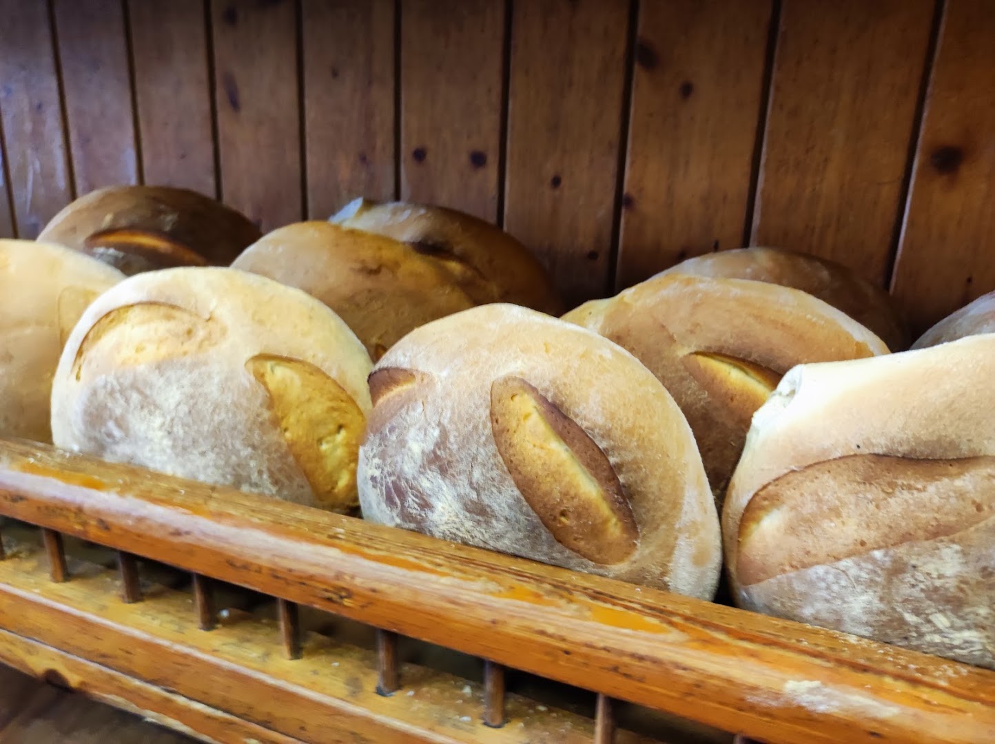 Forno Tazzioli