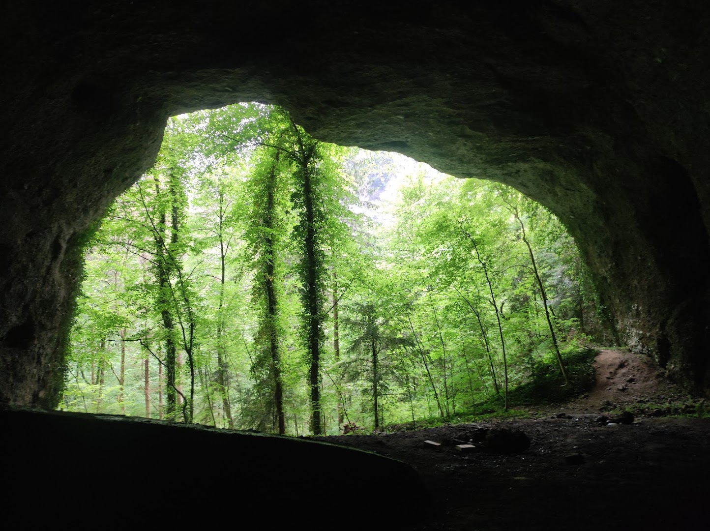 Forra del Rio Cjanevate