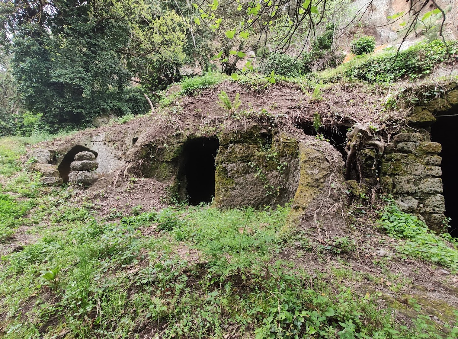 Forre di Corchiano, Corchiano