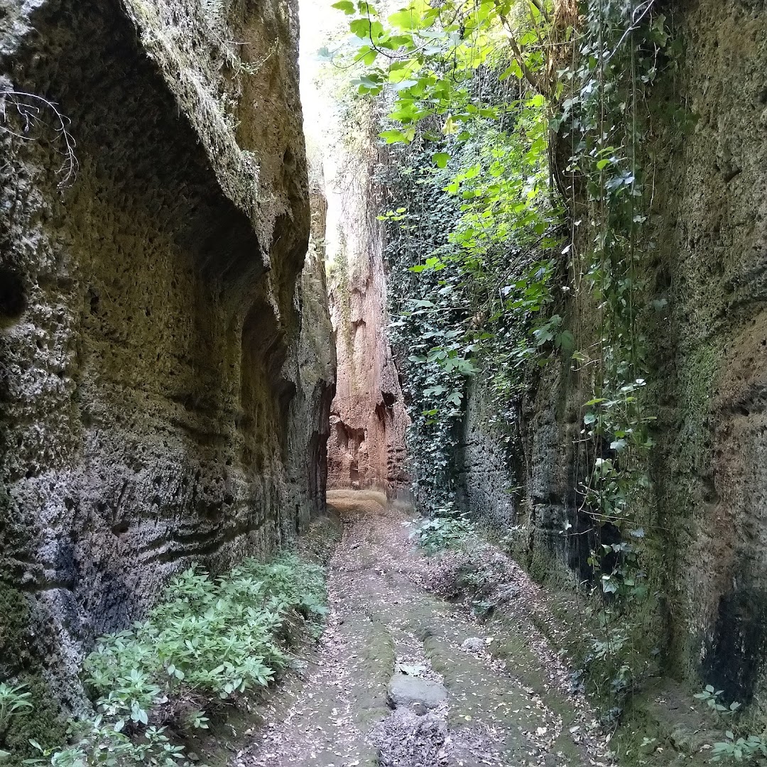 Forre di Corchiano