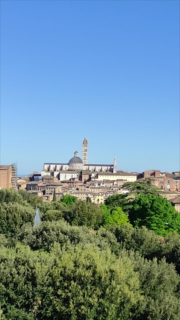 Fortezza Medicea