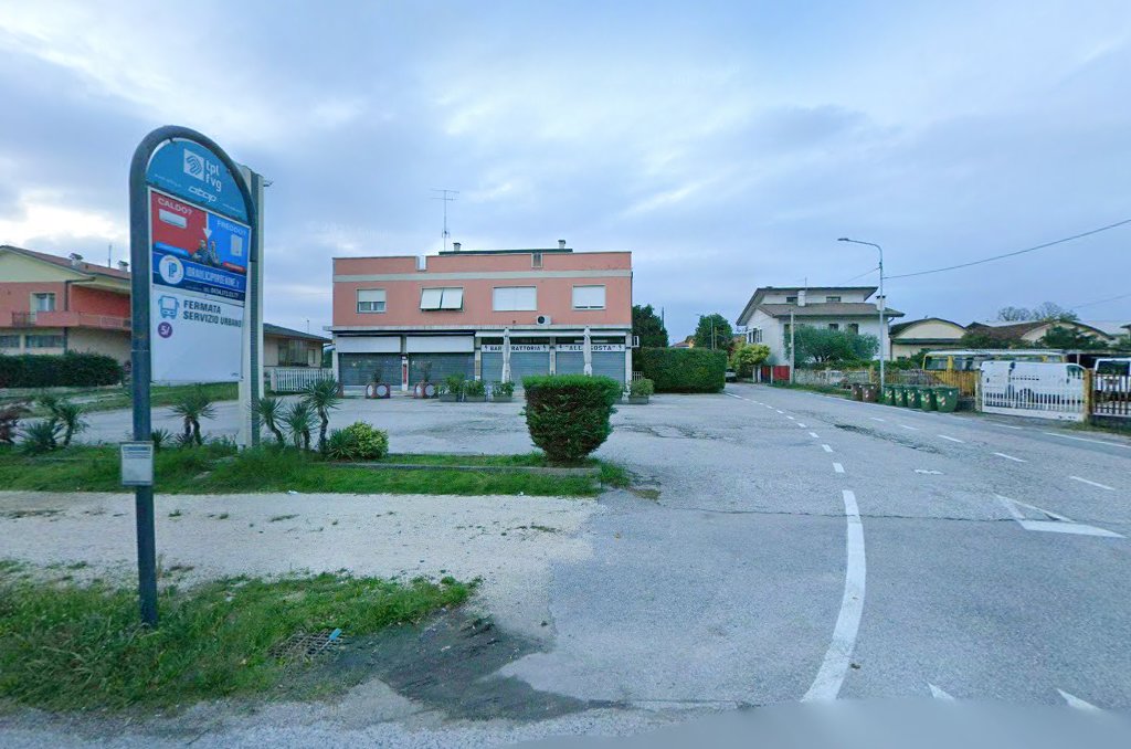 Foxes, Pordenone
