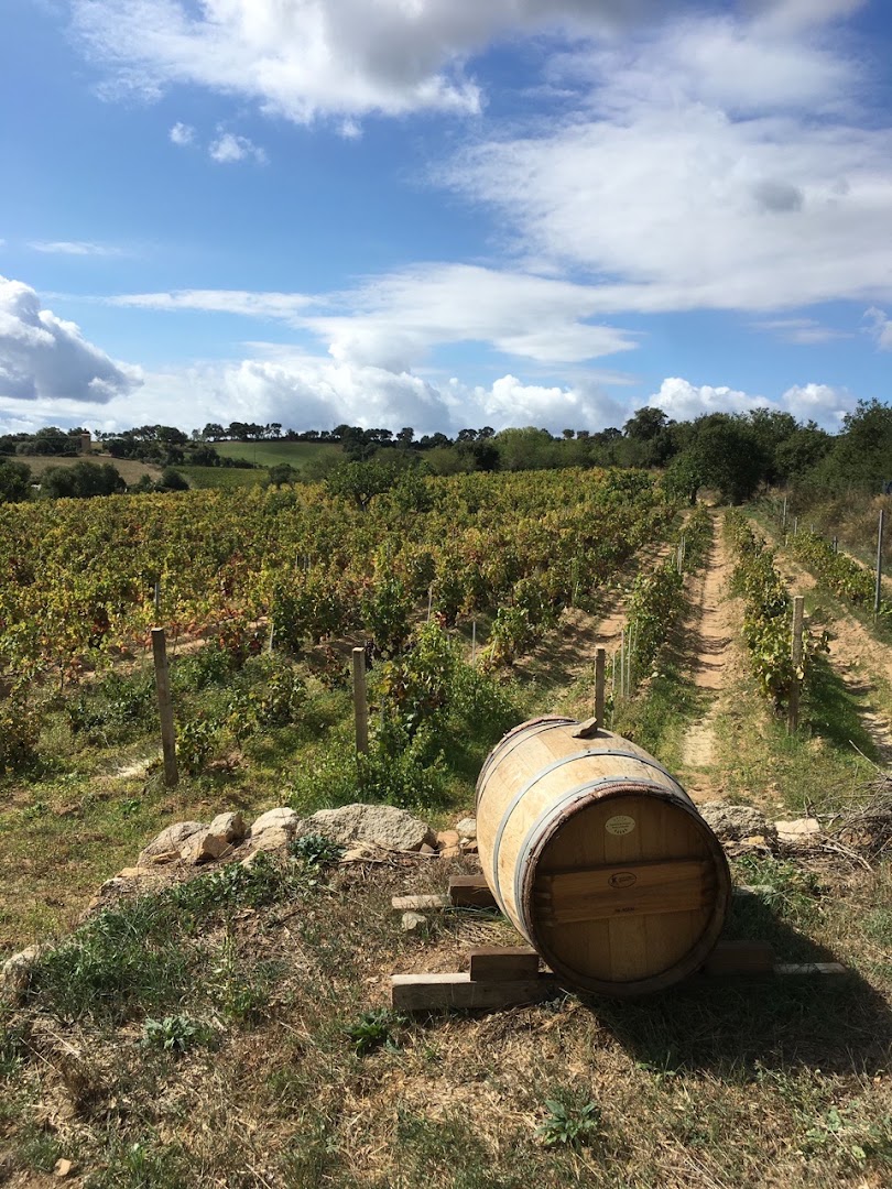Fradiles Vitivinicola | Mandrolisai