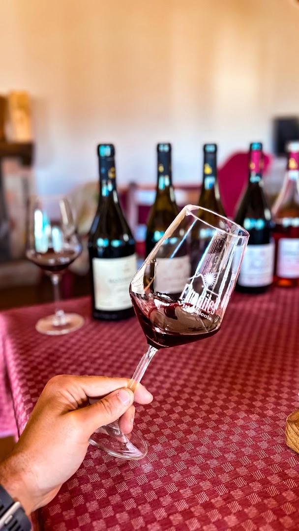Fradiles Vitivinicola | Mandrolisai