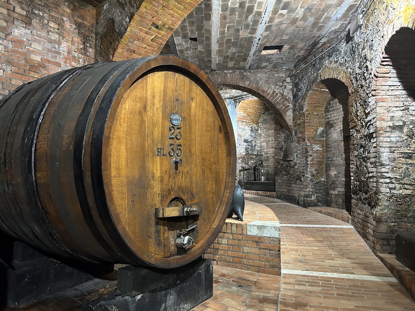 Franco Fadda Wine Tour Siena - Tasting wine in Tuscany