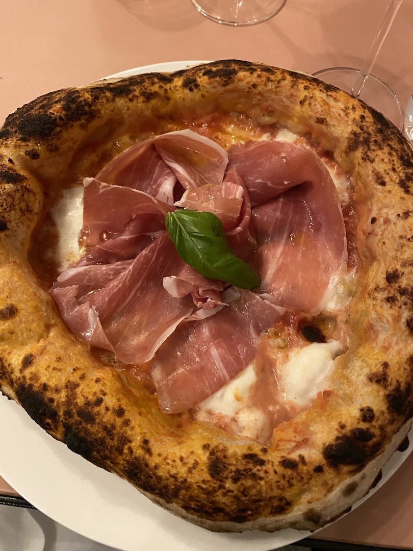 Fratellino, Pavia