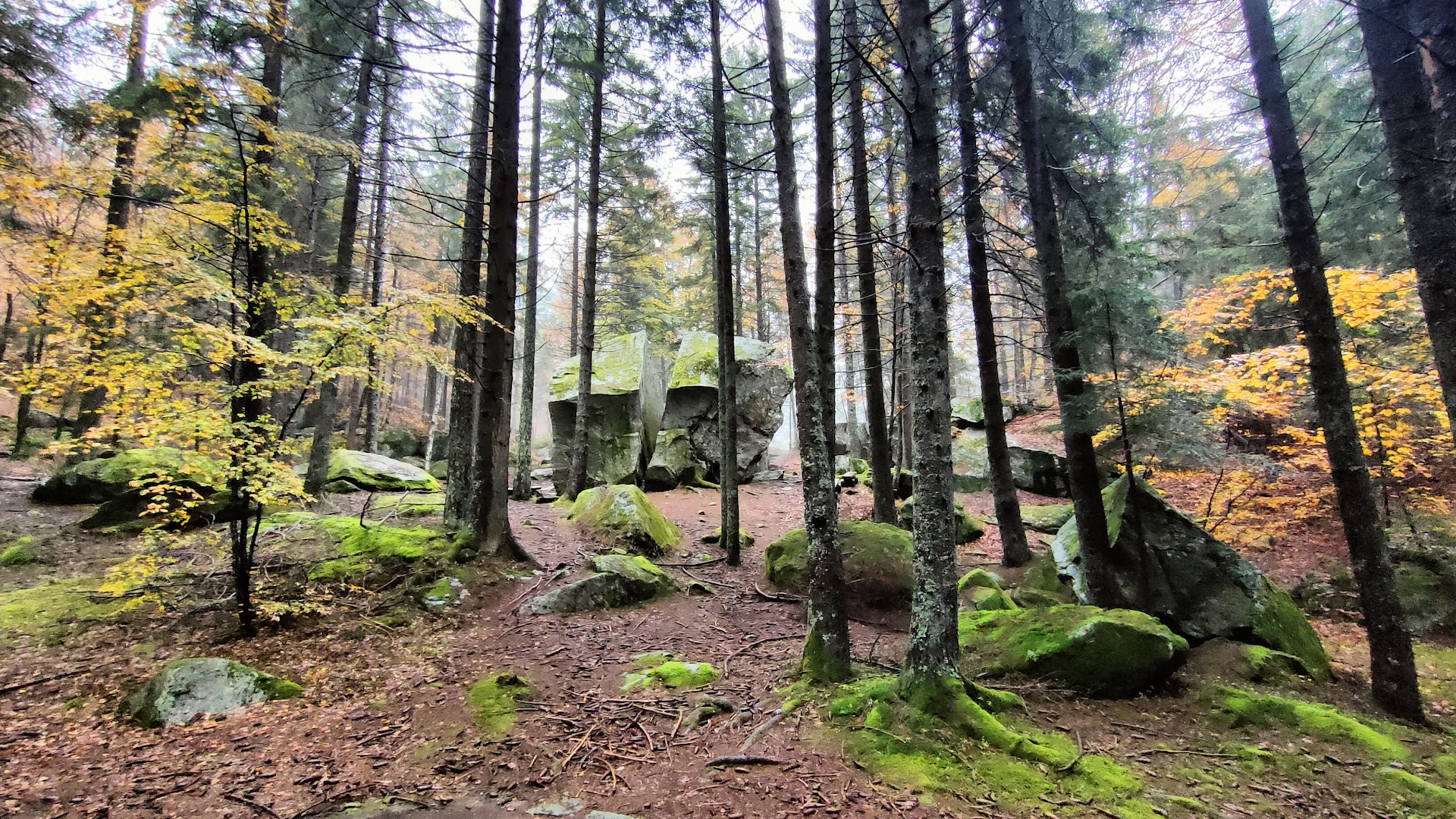 Frazione Di Foppiano (Crodo), Crodo