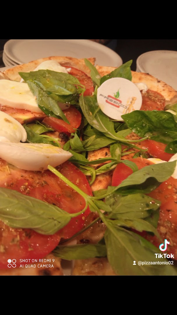 Fresco Trattoria Pizzeria Caracciolo