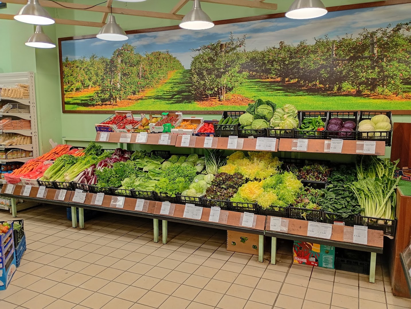 Frescofrutta Montecchio, Montecchio