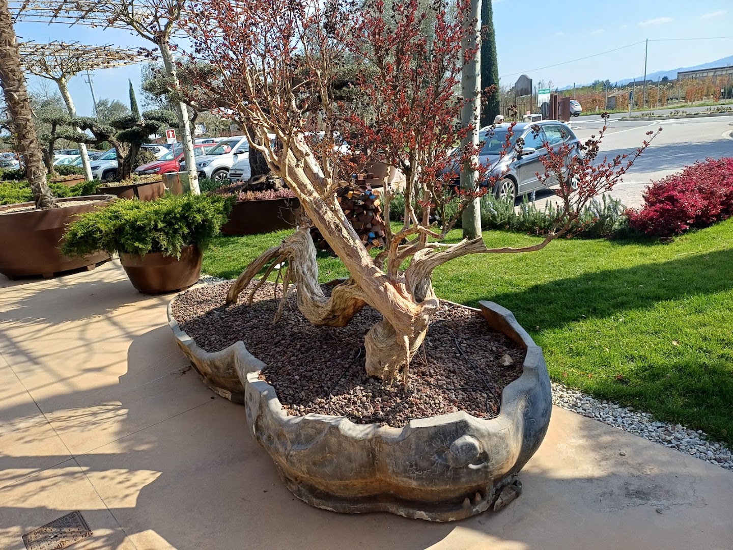 Fridda - Naturart Village