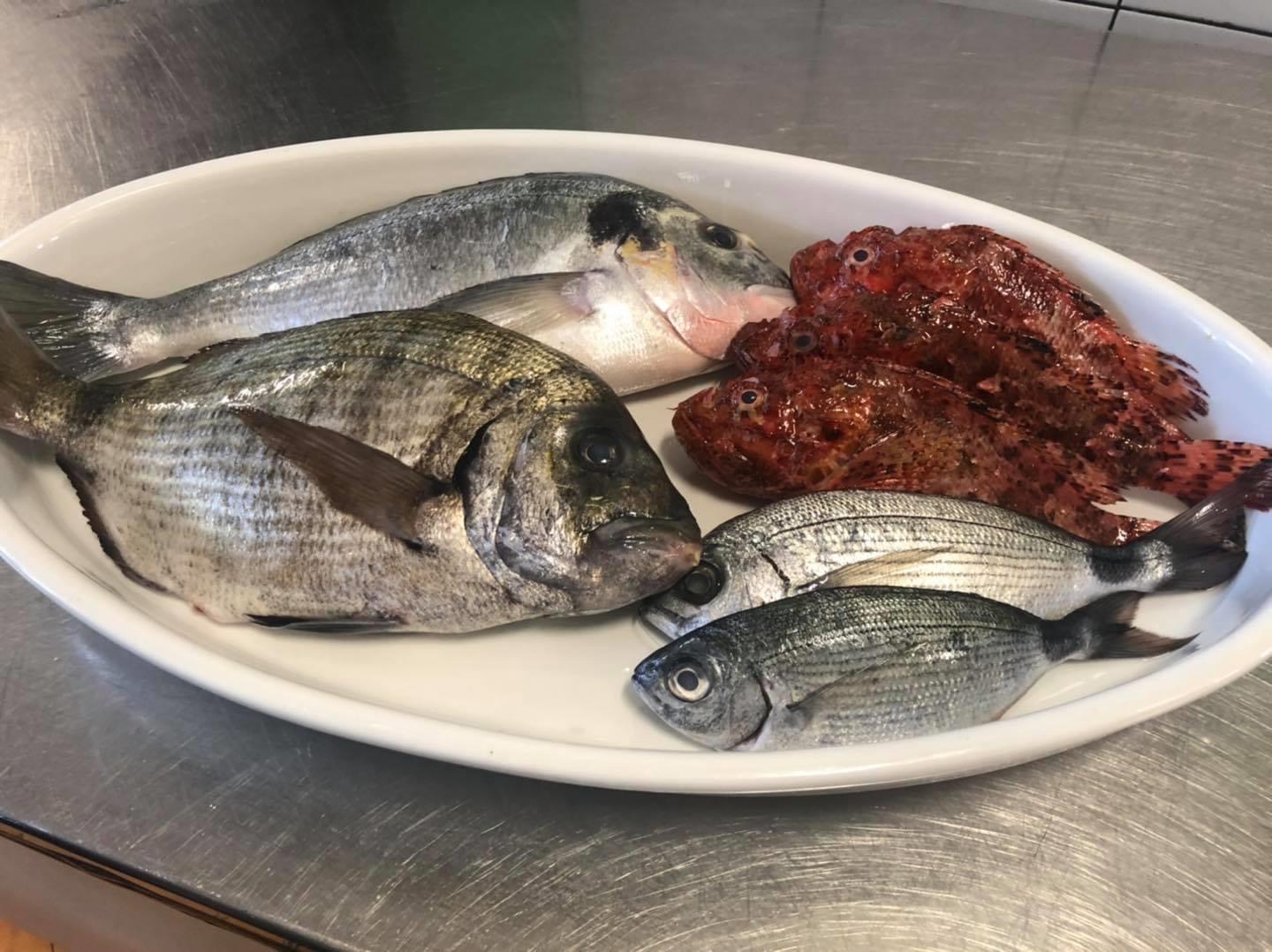 Friggitoria Trattoria "La Regina"