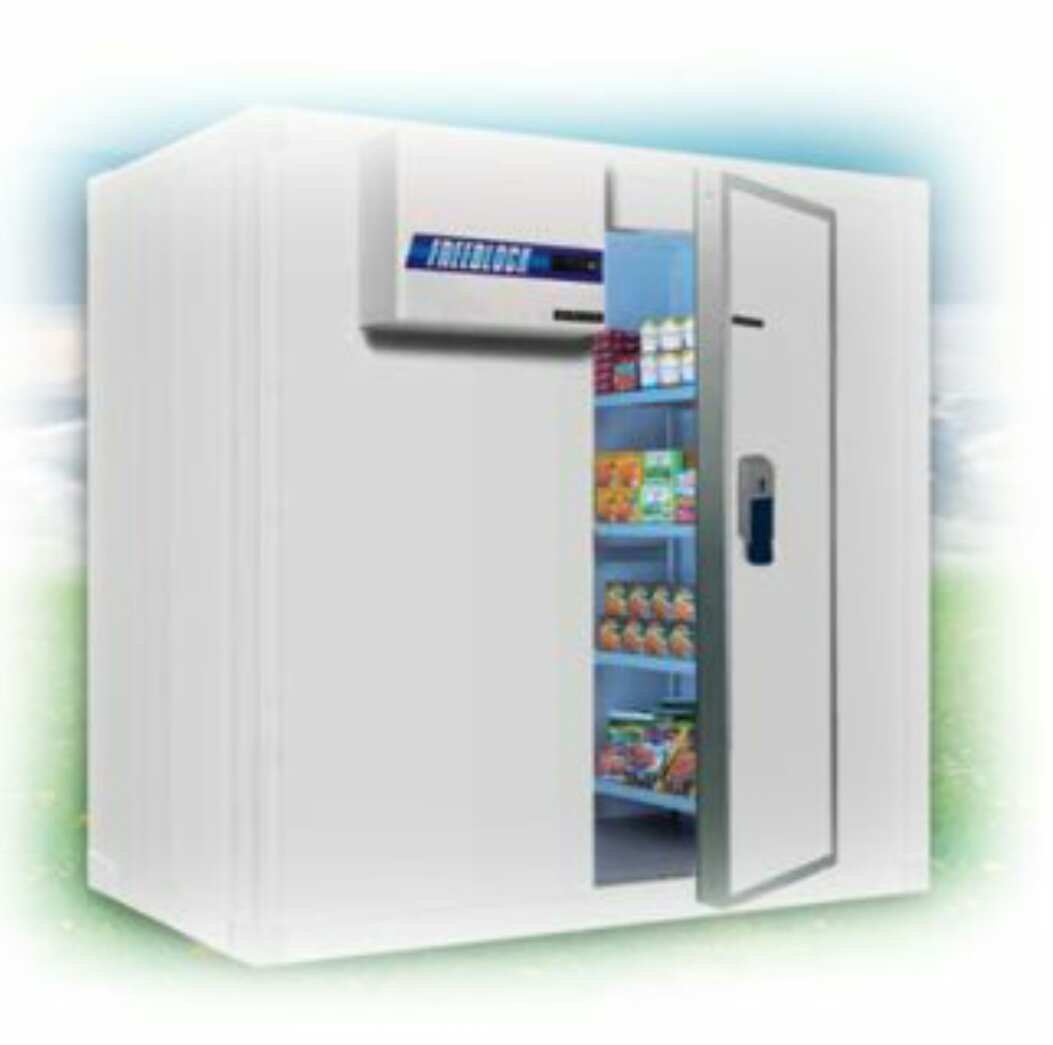 Frigo Service di Raimondi Luca