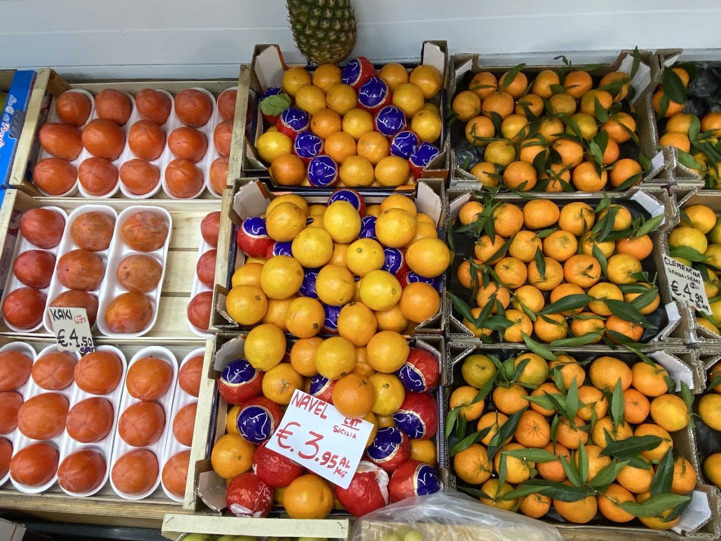 Fruit E Fruit, Bologna