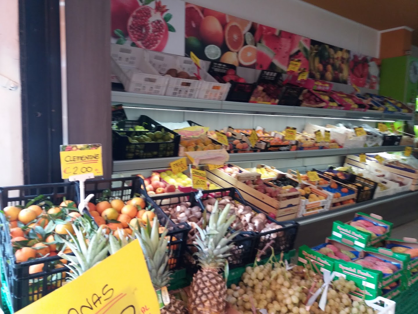 Fruit House