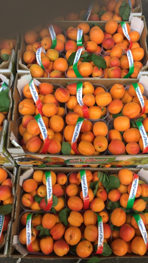 Frutta del Sud D'Italia