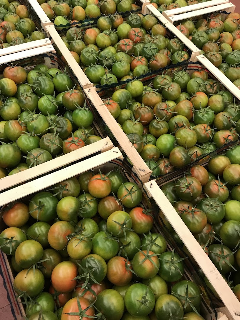 Frutta del Sud D'Italia