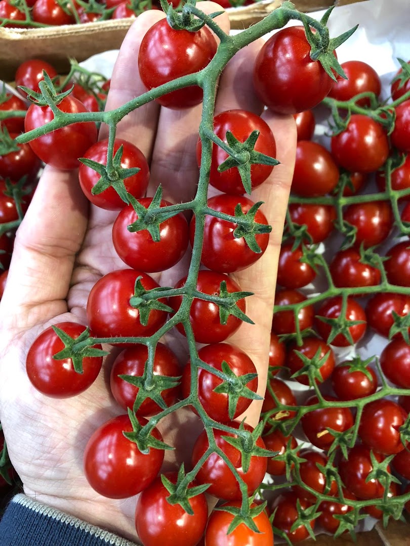 Frutta del Sud D'Italia