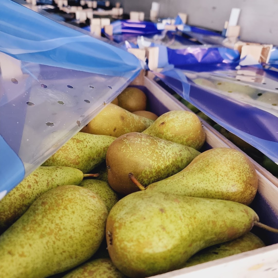 Frutta e Verdura Carmelo Palazzo