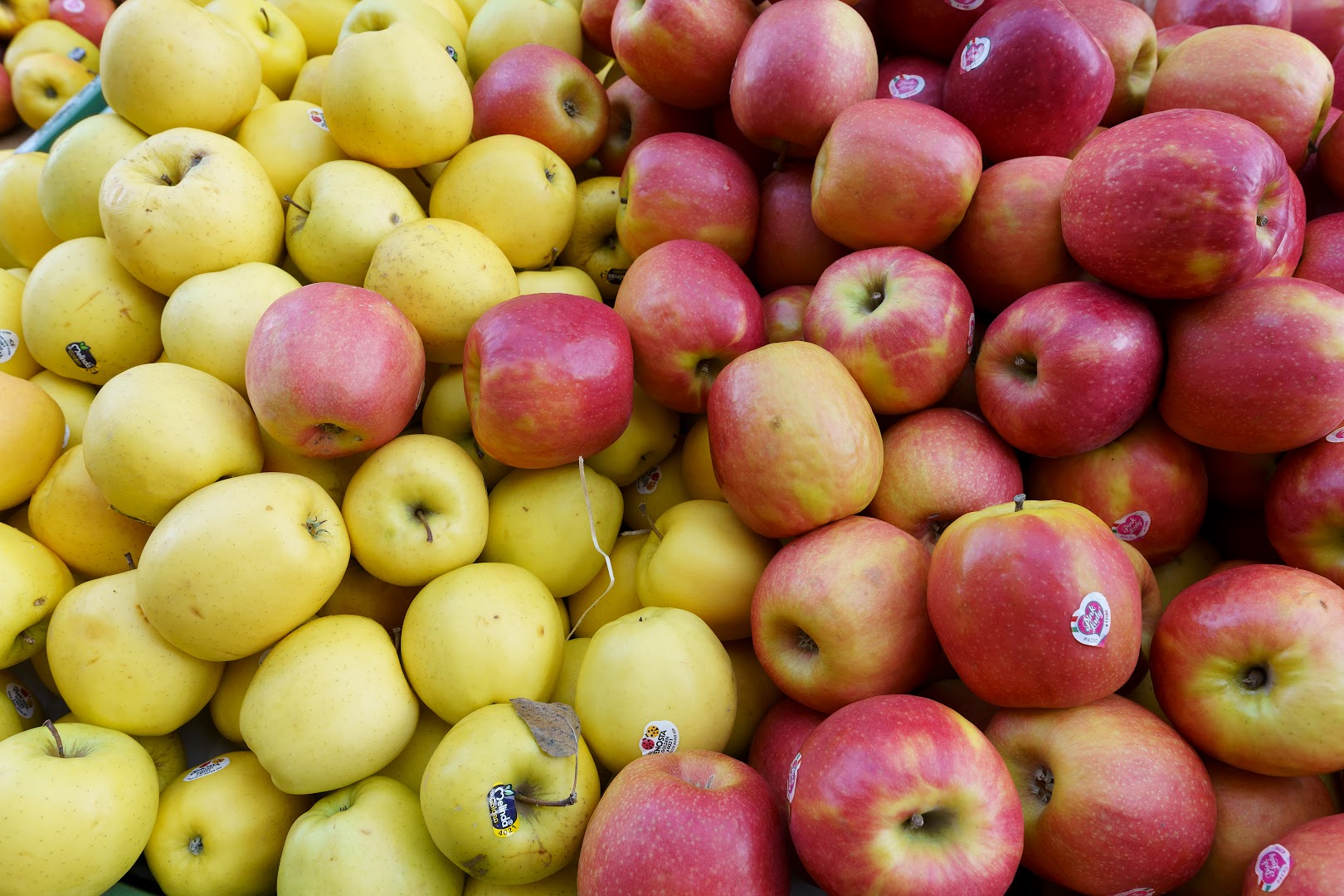 Frutta e Verdura di Domenico Perre