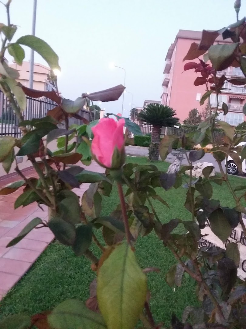 Frutta e Verdura "U RE RA FRUTTA" DI TIRALONGO, Avola