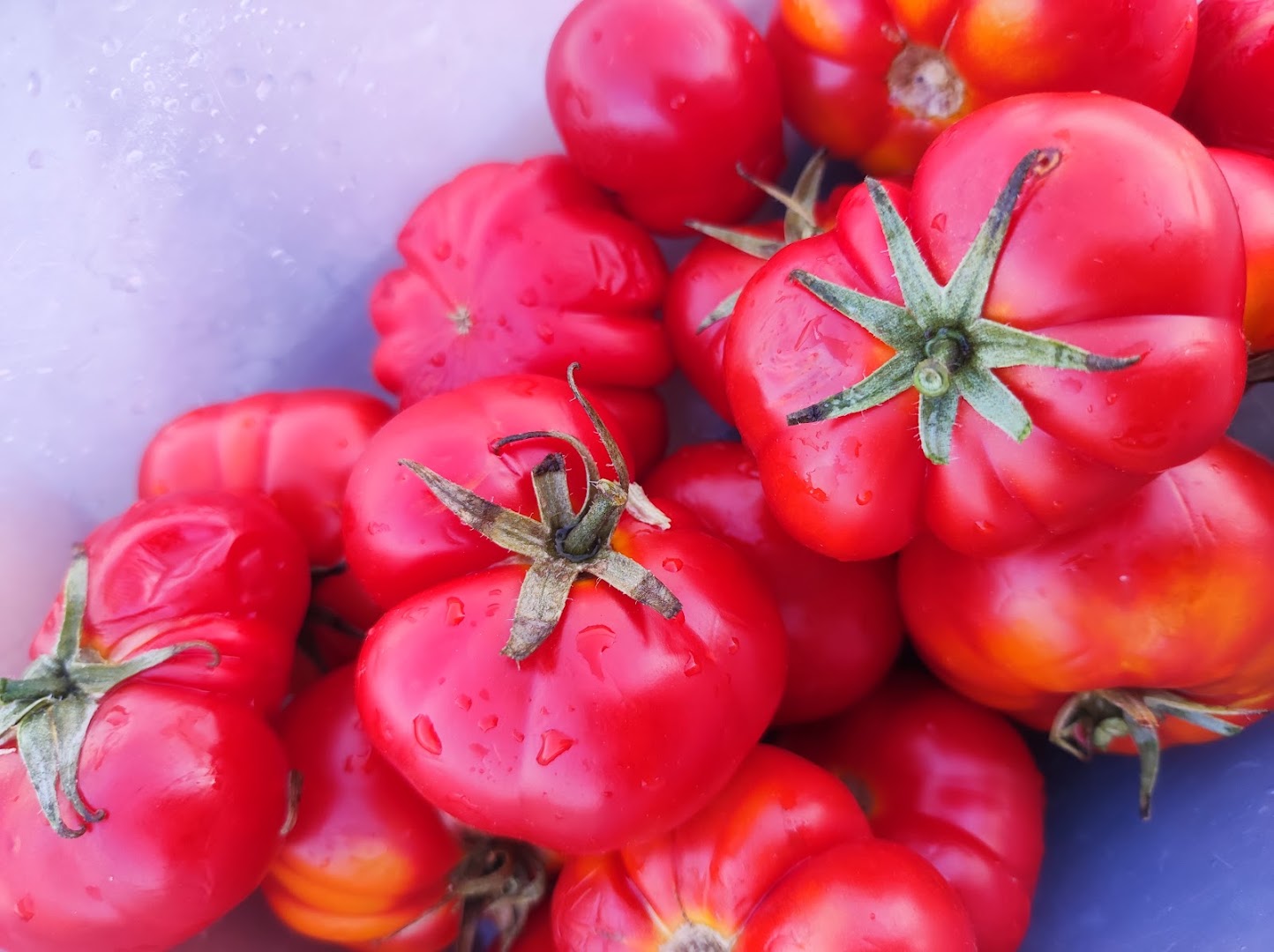 Frutta e Verdura "U RE RA FRUTTA" DI TIRALONGO