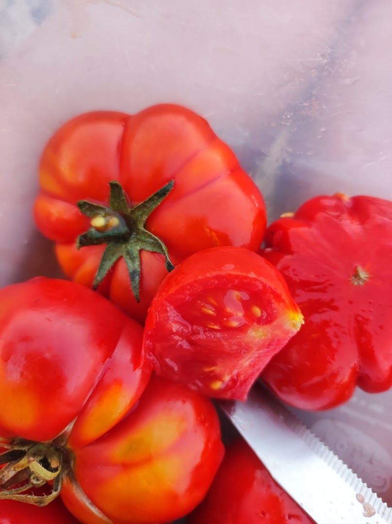 Frutta e Verdura "U RE RA FRUTTA" DI TIRALONGO