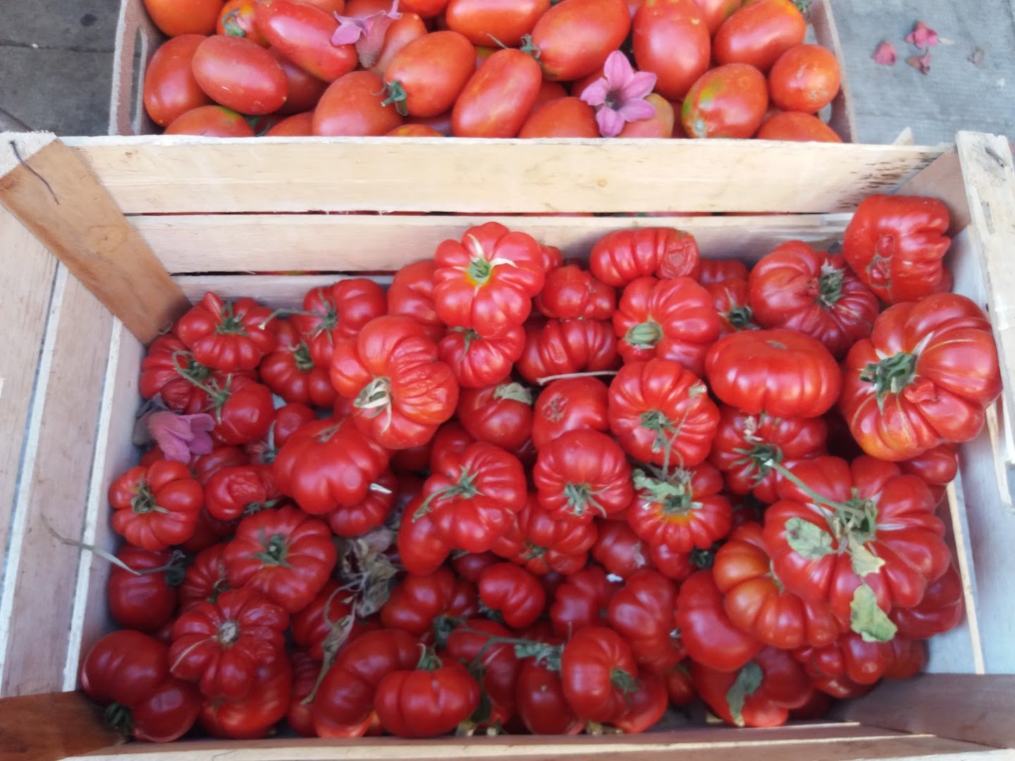 Frutta & Sfizi