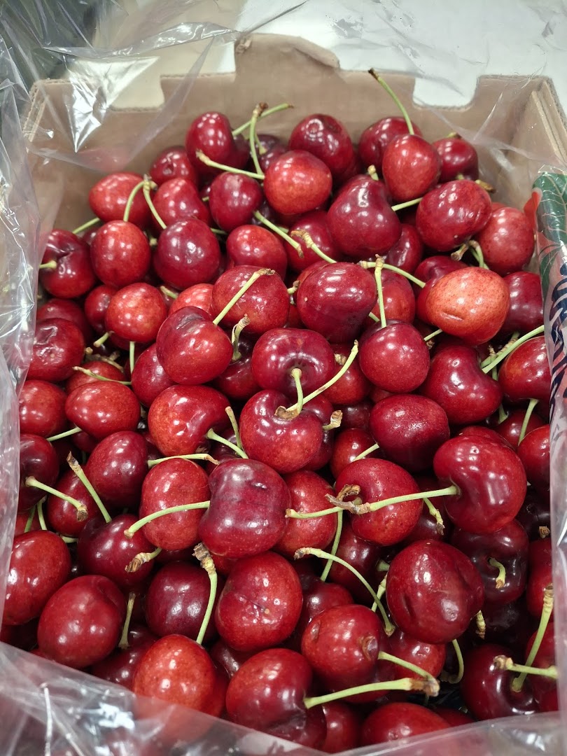 Frutta Verdura Caterino